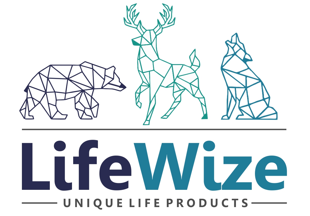 LifeWize_Logo